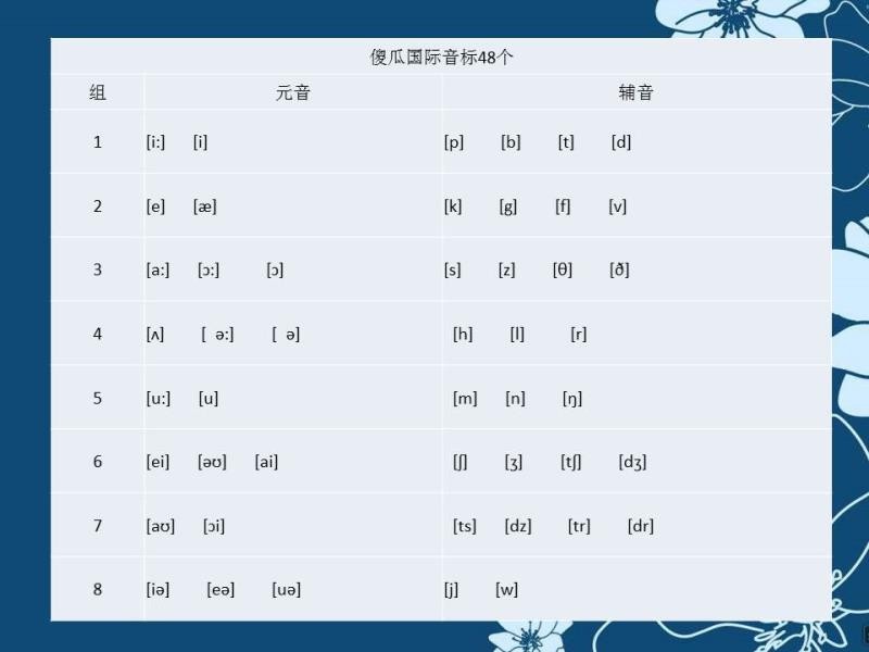 国际最新音标，语言学习的核心工具