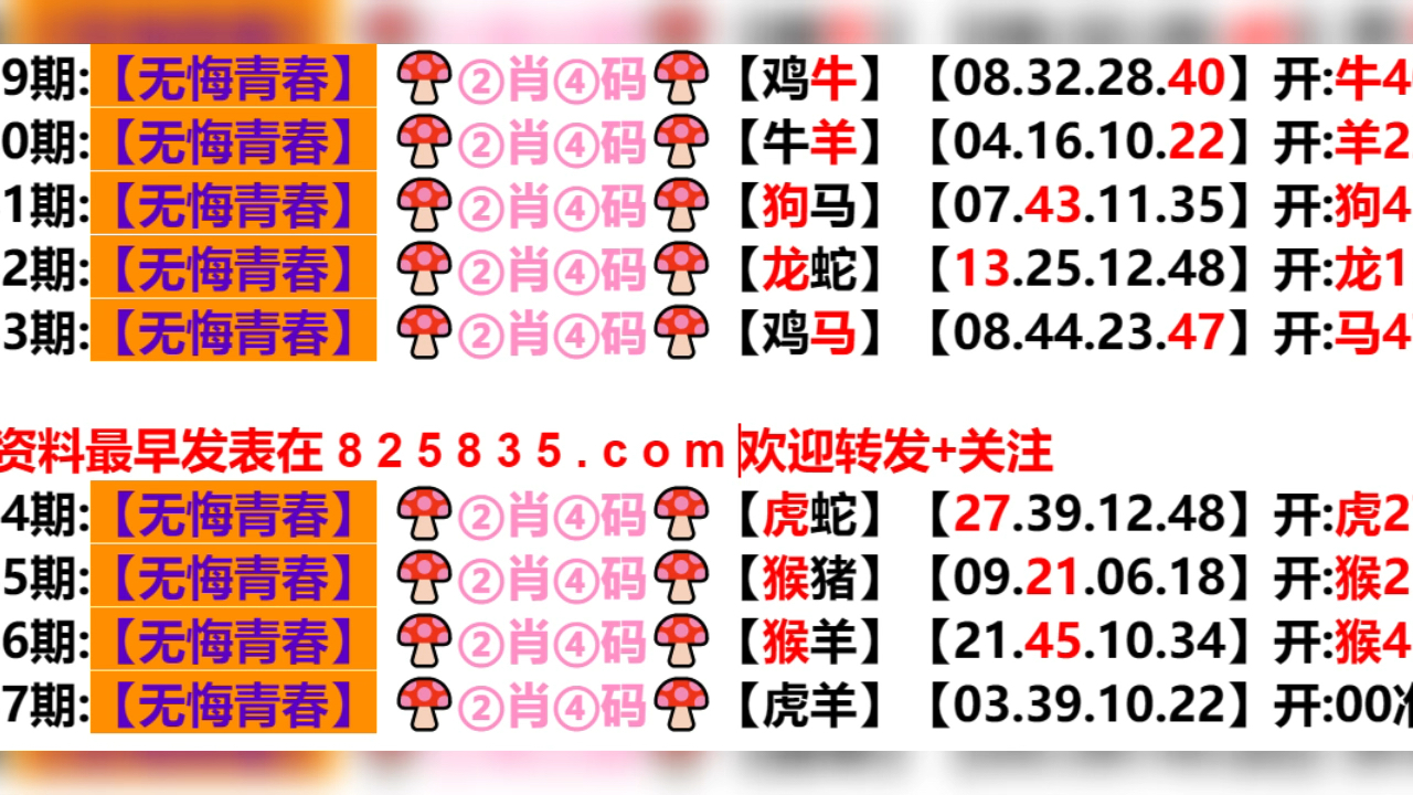 2024年新奥门天天开彩,定性解读说明_Surface55.631