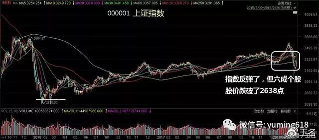 最新牛股群，探寻新星，洞悉投资先机